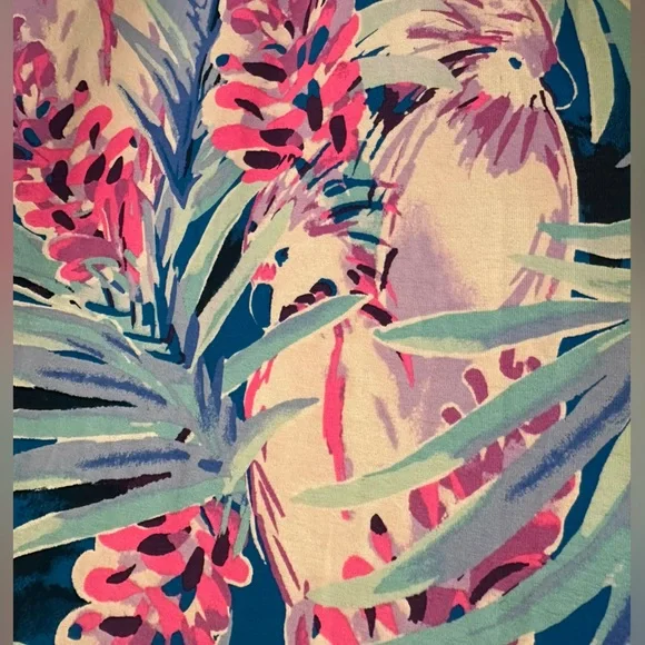 🆕 NWT Lilly Pulitzer Mr. Peacock Blue Tweethearts Dress - Picture 4 of 5